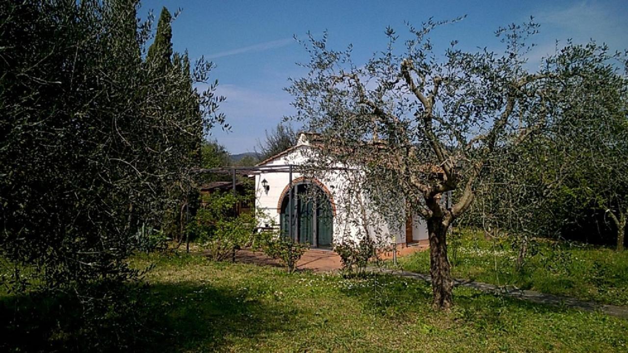 La Casetta Tra Gli Ulivi Villa Bagno a Ripoli Exterior foto